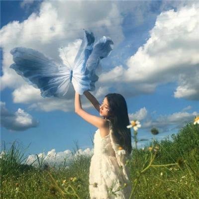 夹子救鹿