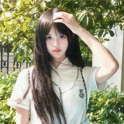 七只狐狸